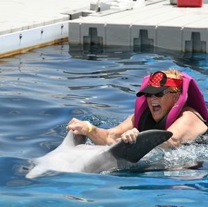 Meet your Posher, Pam